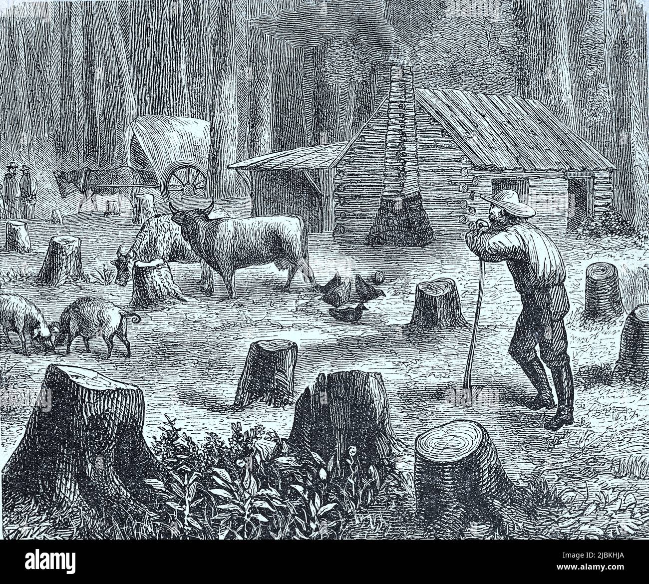 Waldrodung für eine neue Siedlung in Kalifornien im Jahre 1880, Amerika, digital restaurierte Reproduktion einer Originalvorlage aus dem 19. Jahrhundert, genaues Originaldatum nicht bekannt Stock Photo