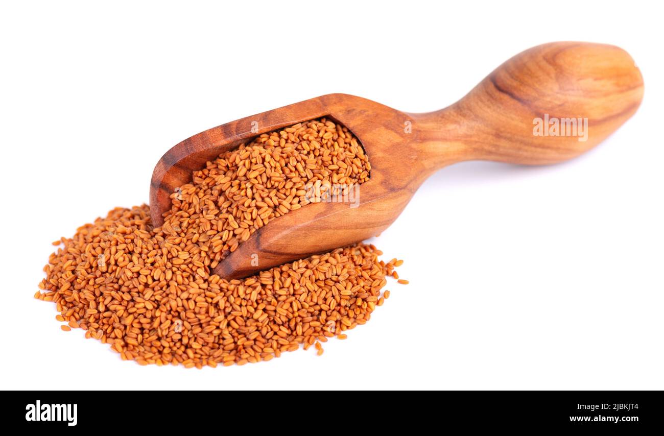 Camelina sativa seeds in olive scoop, isolated on white background. Seeds of camelina or false flax. Raw material for camelina oil Stock Photo