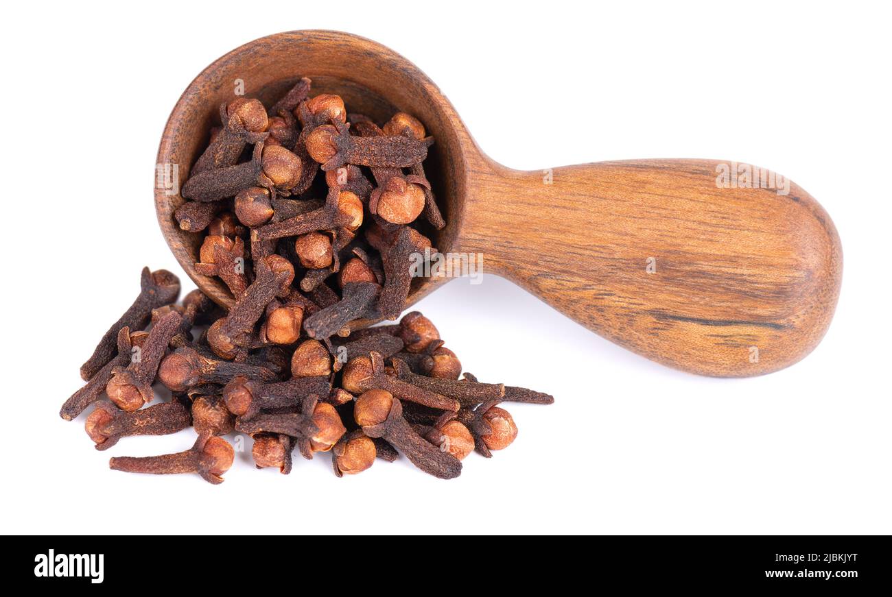 Spices And Herbs In Old Spoons Isolated On White Background Stock