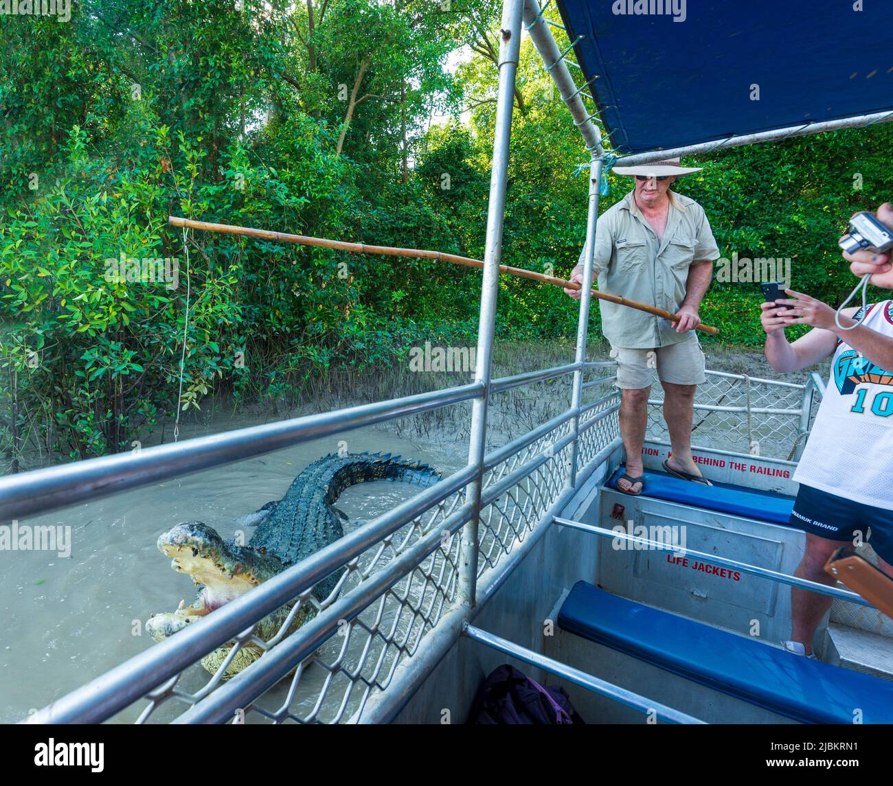 Guide on a tourist boat feeding a Saltwater Crocodile (Crocodylus porosus) during a crocodile jumping cruise on the Adelaide River, Northern Territory Stock Photo