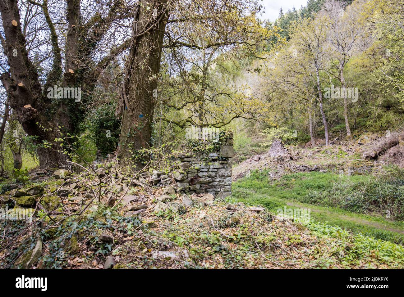 Remains of the lost village of Y Graig near Abergavenny, Wales, UK Stock Photo Alamy