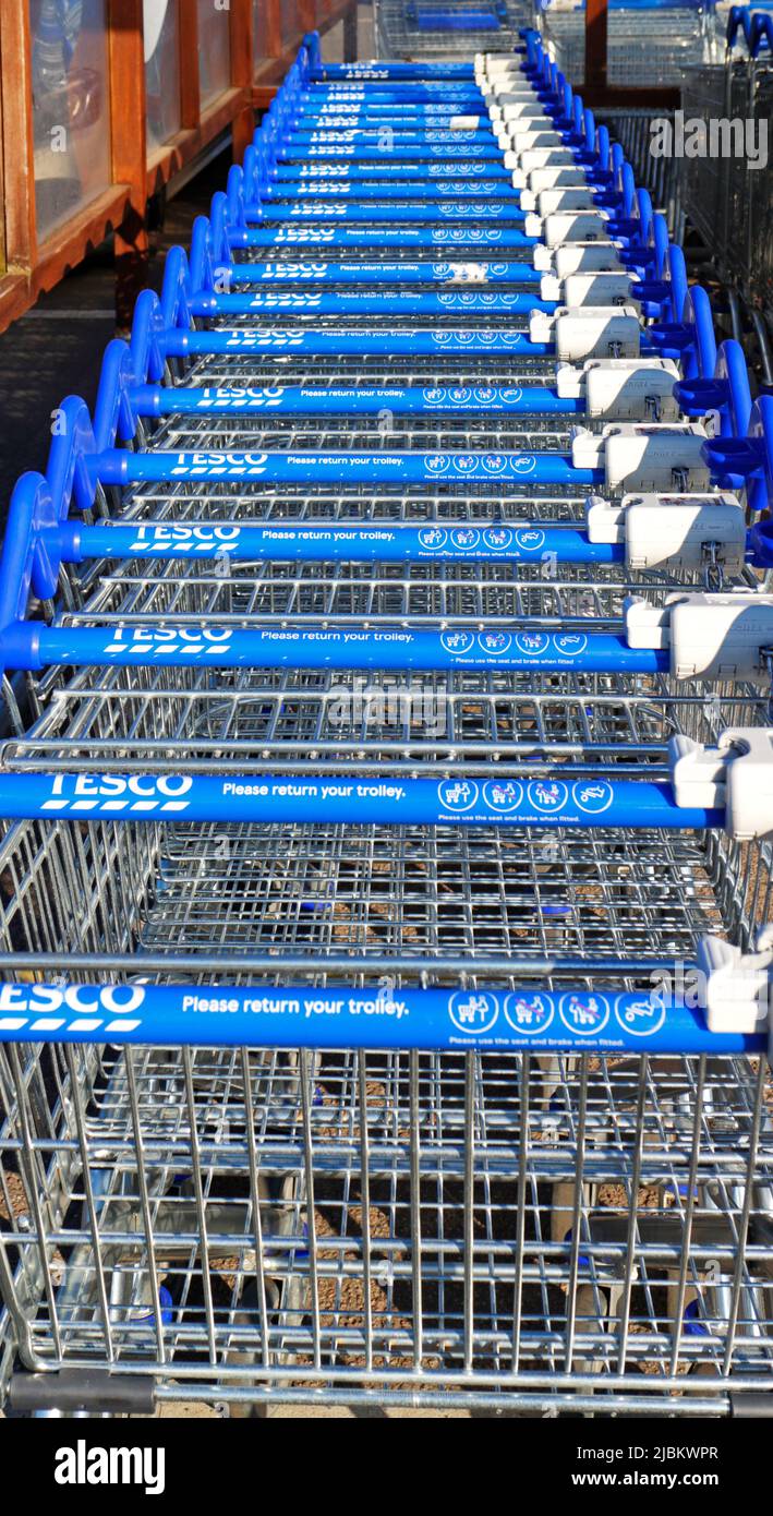 A line of parked small supermarket trolleys at a Tesco Extra
