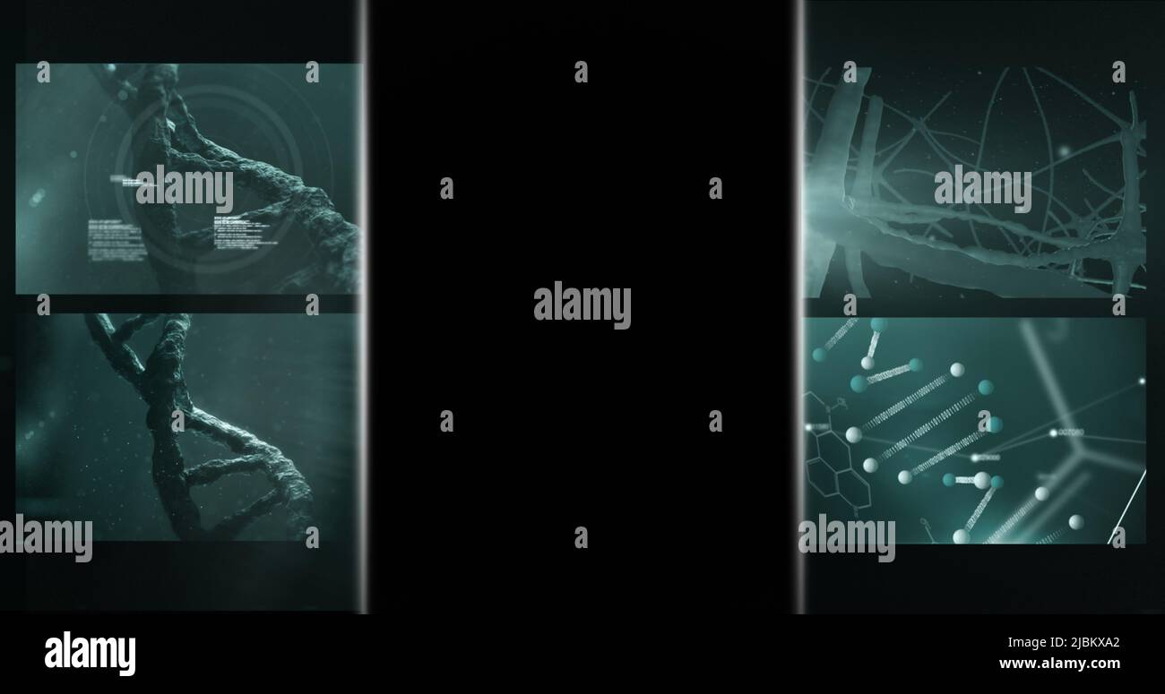 Digital image of multiple screens with medical data processing against blue background Stock Photo