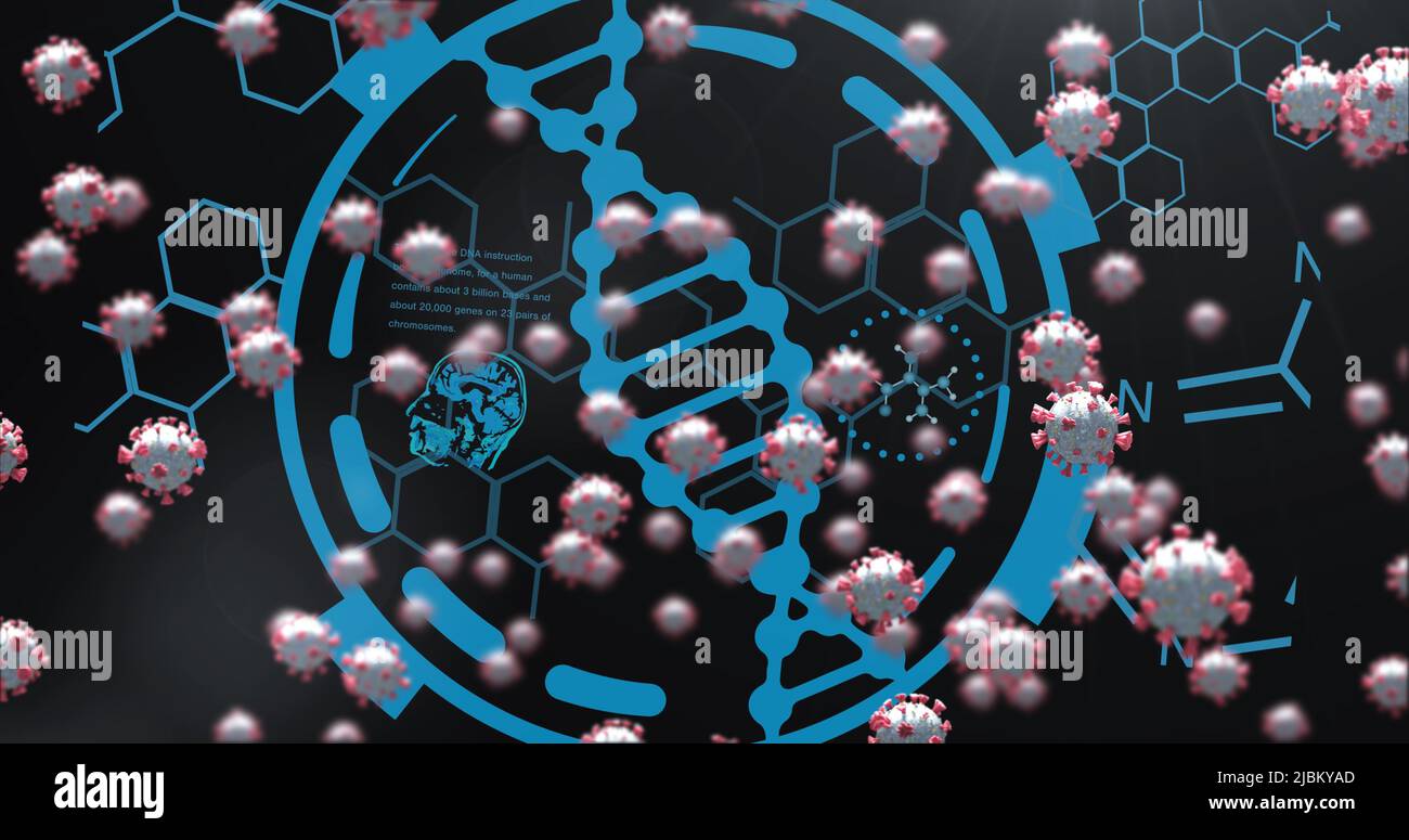 Image of virus cells over medical data processing Stock Photo