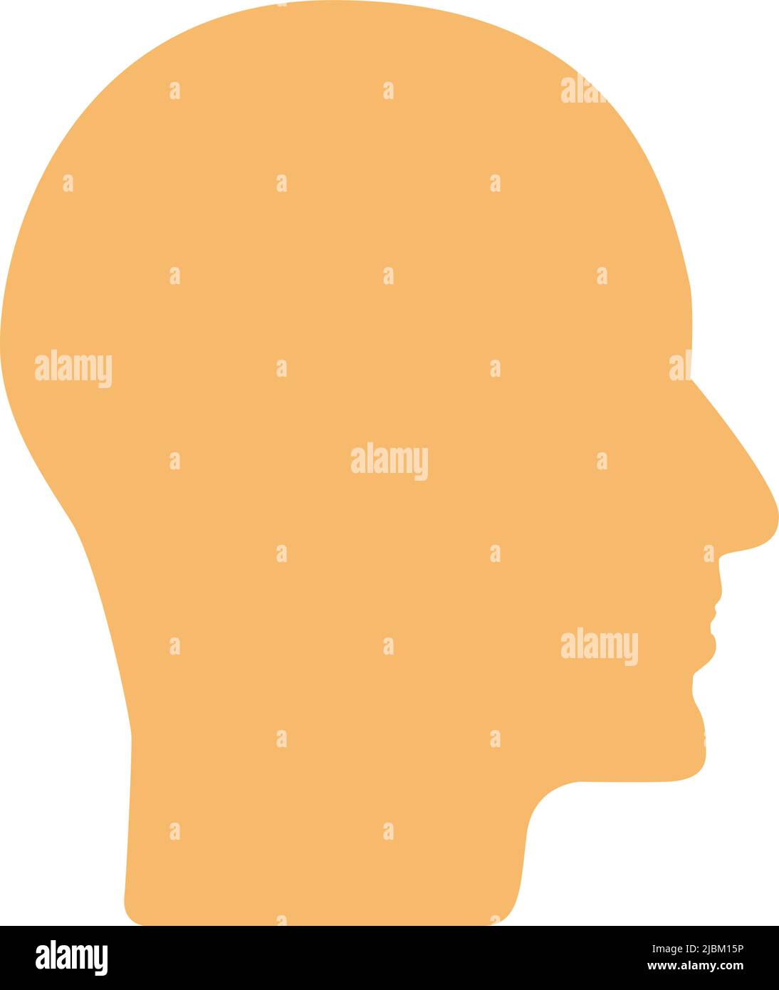 Member body part Stock Vector Images - Alamy