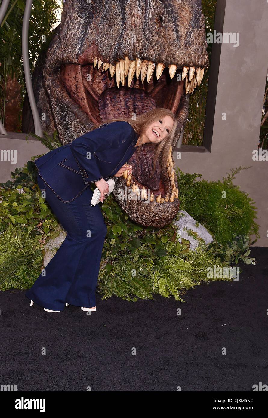 HOLLYWOOD, CA - JUNE 06: Ariana Richards attends the Los Angeles