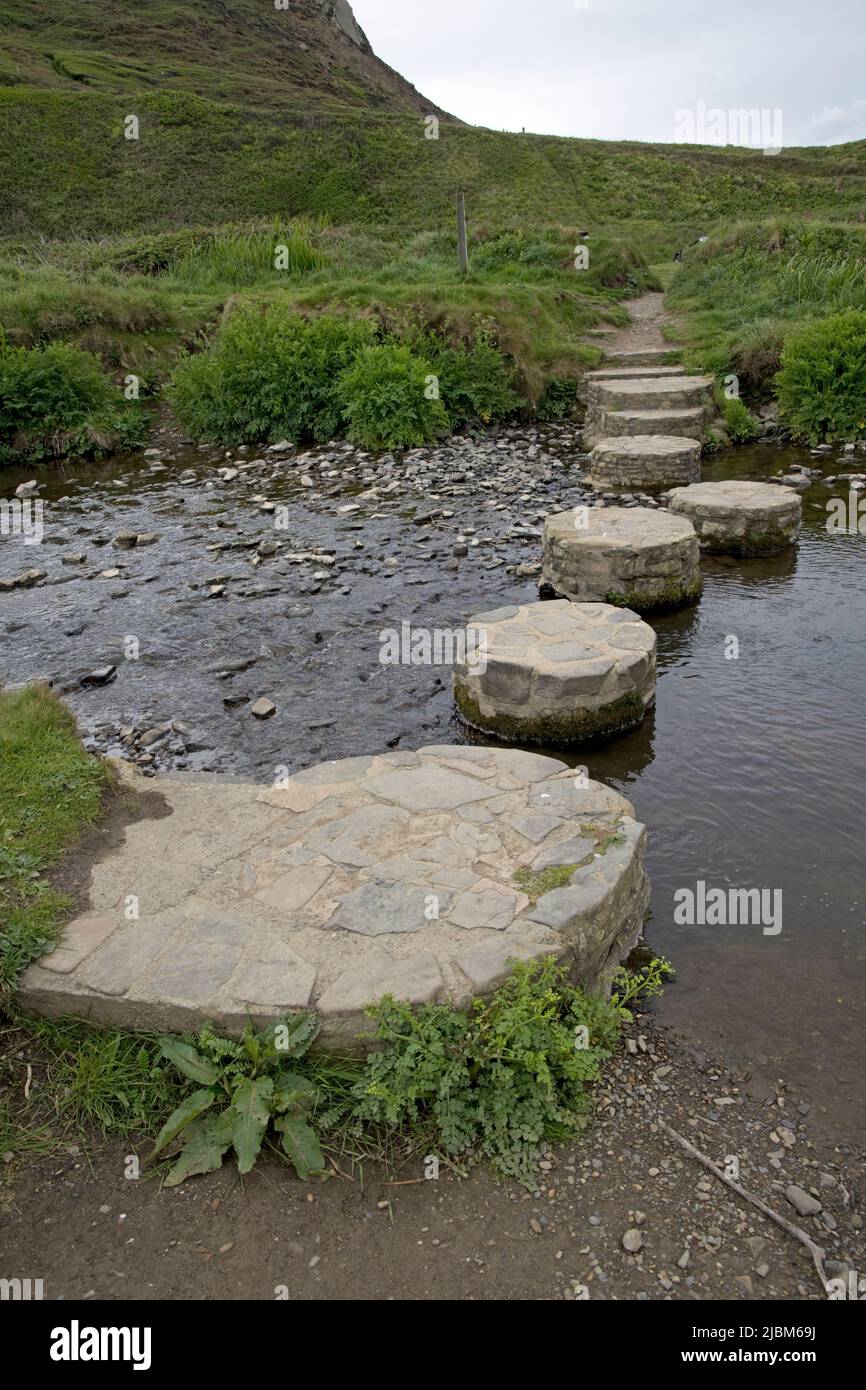 Stepping stones acrosss stream at Widemouth or Bay Hartland