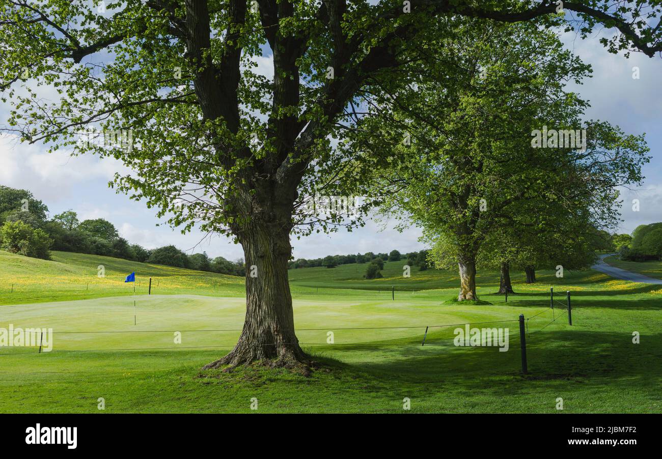 Westwood publick parkland with golfing green and flag pole flanked by beautiful trees and spring leaves on a fine morning in Beverley, Yorkshire, UK. Stock Photo