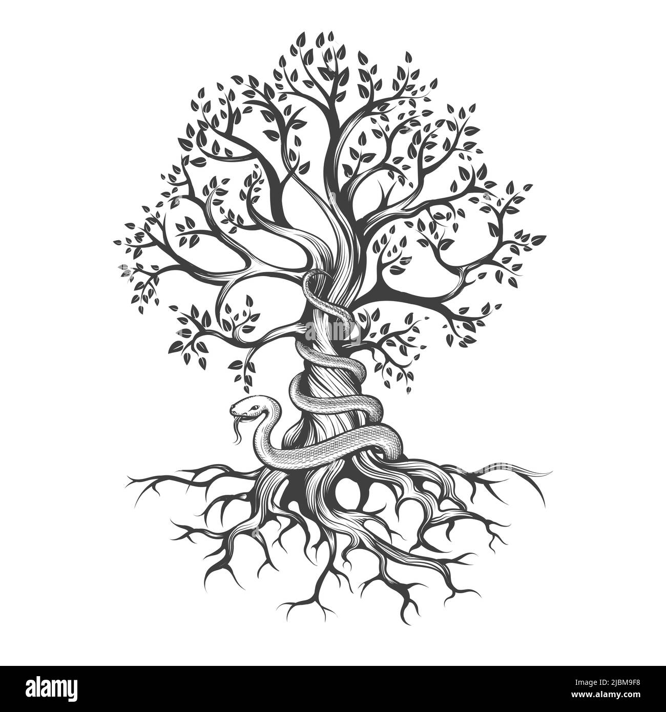 Snake Wraps Around a Tree Esoteric Tattoo Drawn in Engraving Style isolated on white. Vector illustration. Stock Vector
