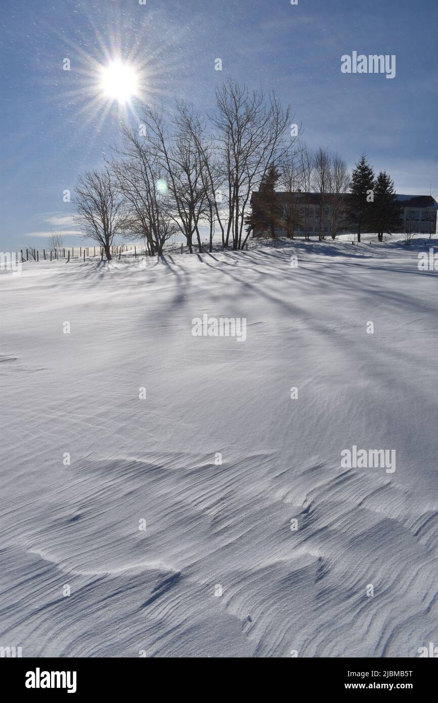 A cold February day, SainteApolline, Québec, Canada Stock Photo Alamy