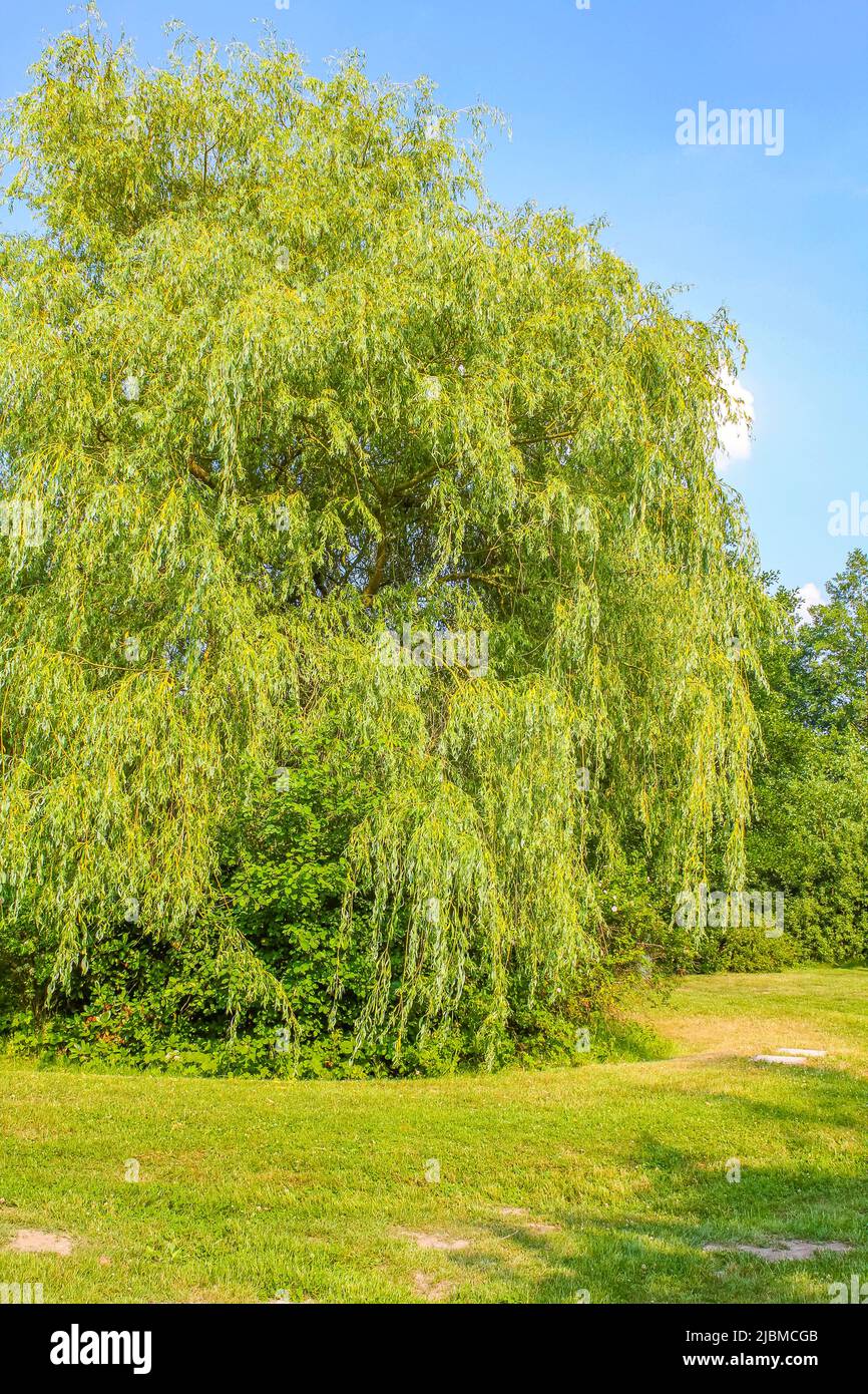 arbeitsagentur hemmoor