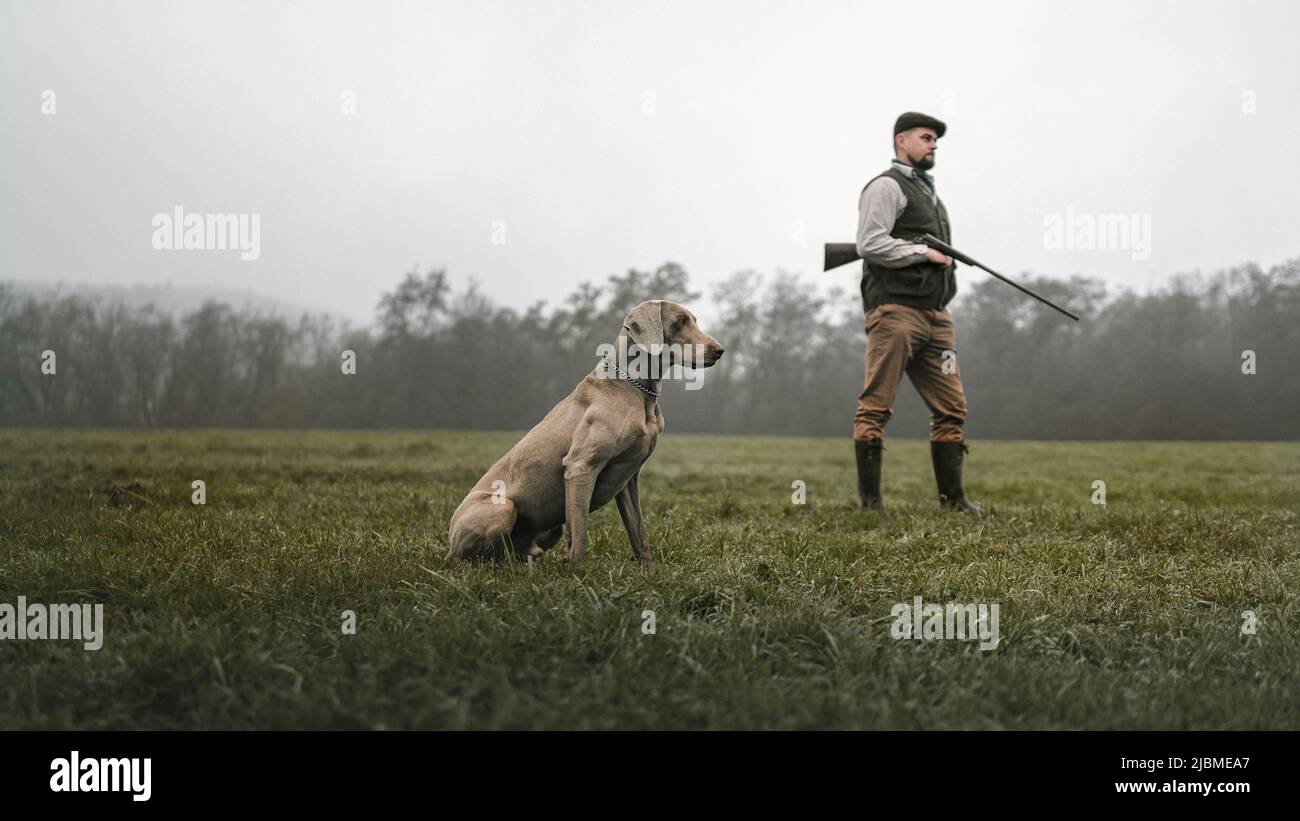 Hunter man with dog in traditional shooting clothes on field holding shotgun. Stock Photo
