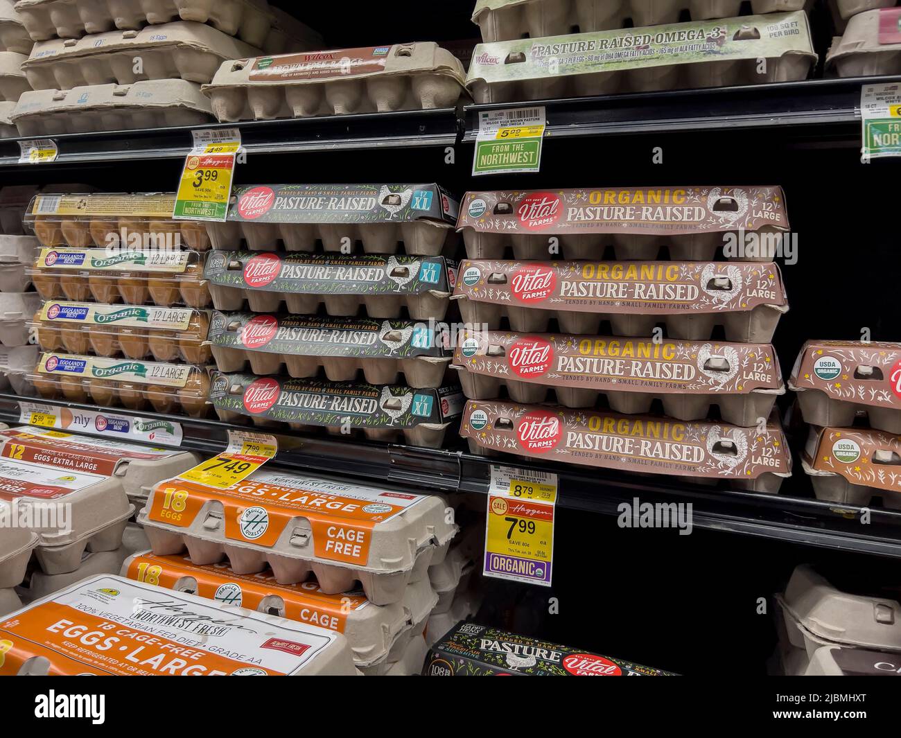 Woodinville, WA USA - circa May 2022: Angled view of a variety of eggs for sale inside a Haggen Northwest Fresh grocery store. Stock Photo