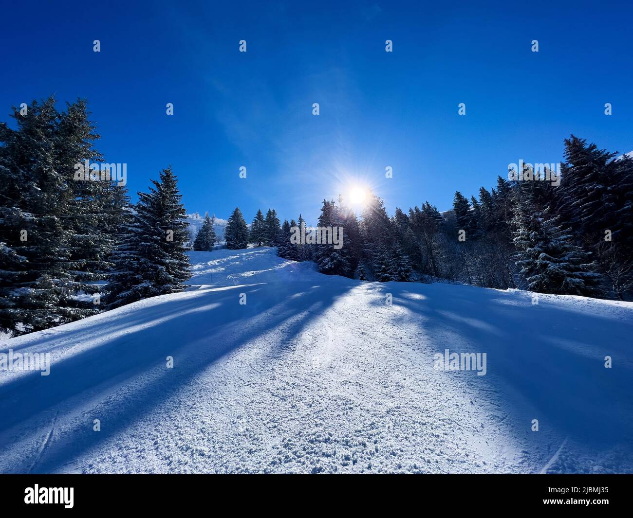 Ski track in forest at alpine resort with sun shine over trees Stock Photo