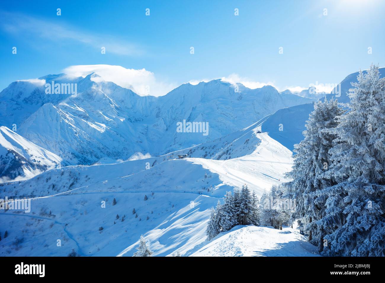 Snow covered fir forest after heavy snowfall over Alps mountains Stock Photo