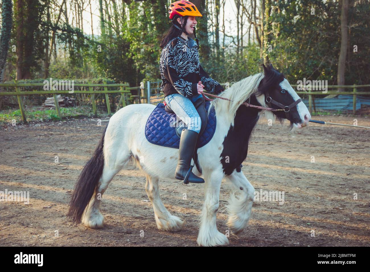A teenage girl laughing and smiling, riding a piebald gypsy cob draft horse pony Stock Photo
