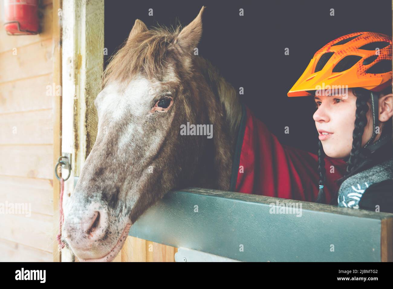 Teenage girl and dappled brown pony in blanket in a stable Stock Photo