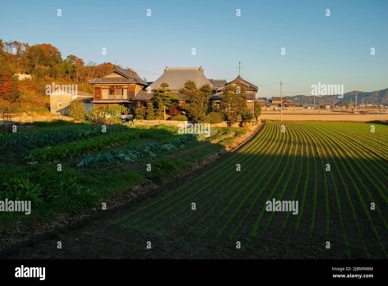 Farms and Fields in Okayama Prefecture, Honshu, Japan Stock Photo Alamy