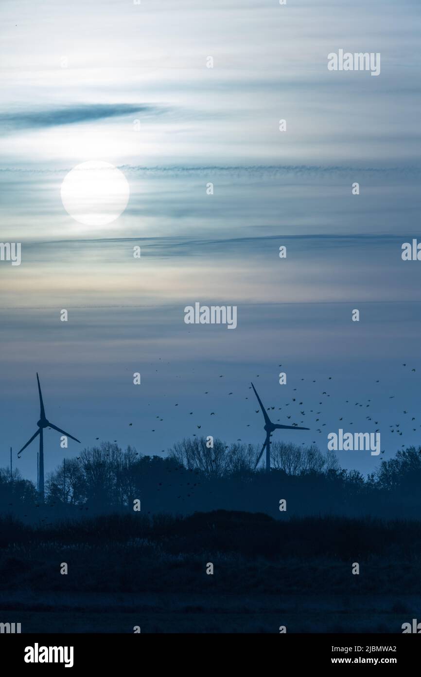 Wind turbines at sunrise Stock Photo