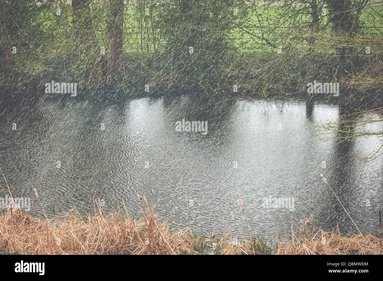 Intense wintry rain or sleet into a pond surrounded by trees Stock Photo