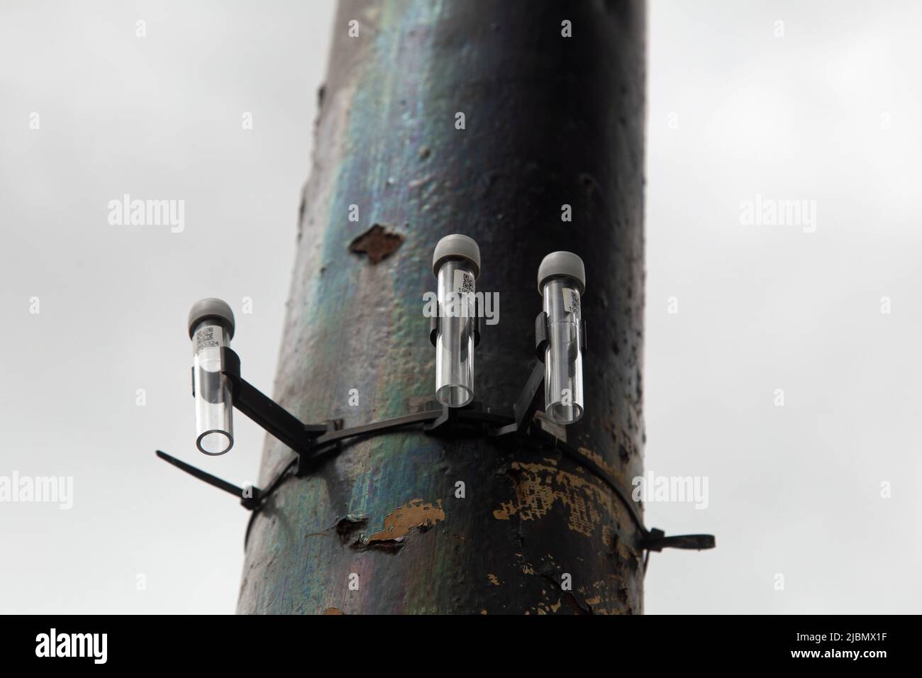 Bath, Somerset, England, May 26th 2022, Test tubes attached to a lamp post in the city measure air quality. Stock Photo