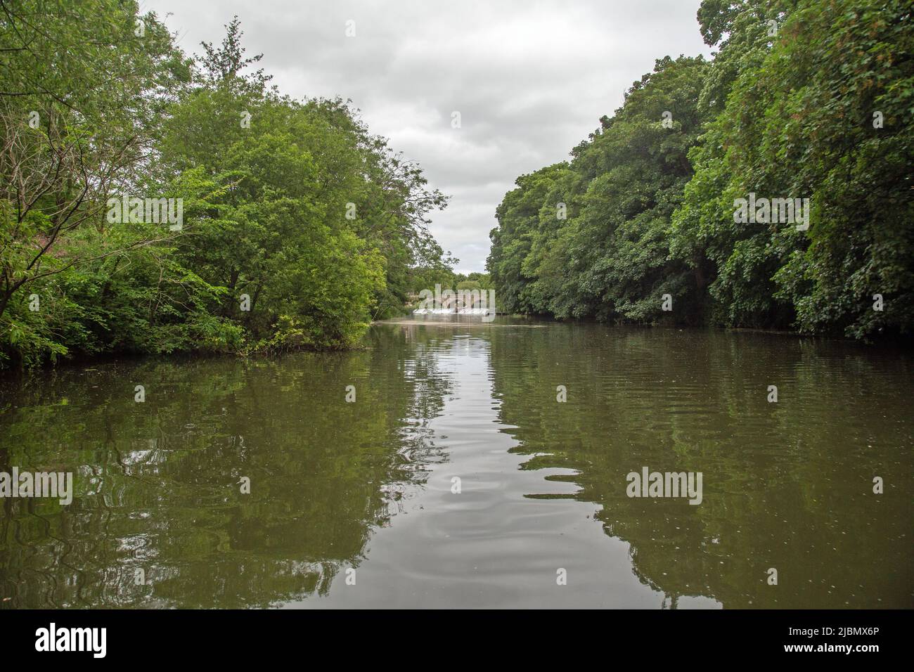 River Avon, Bath, Somerset, England, Tranquil river scene shot from a boat on the river. Stock Photo