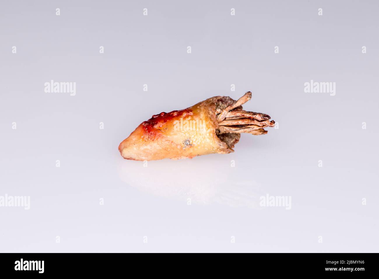 Decayed and infected molar tooth showing roots on white background ...