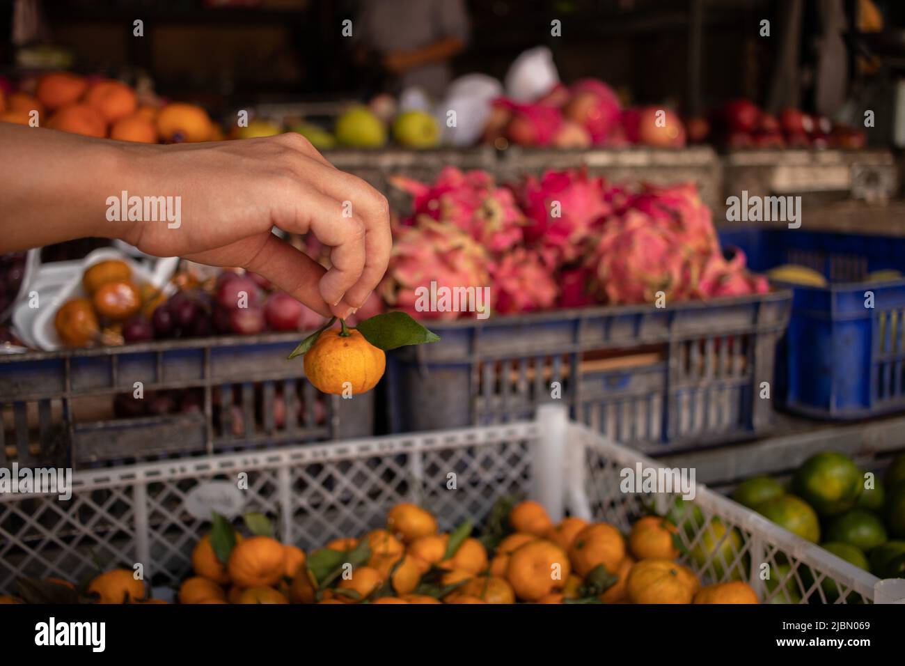 Shopping at tropical market Stock Photo Alamy