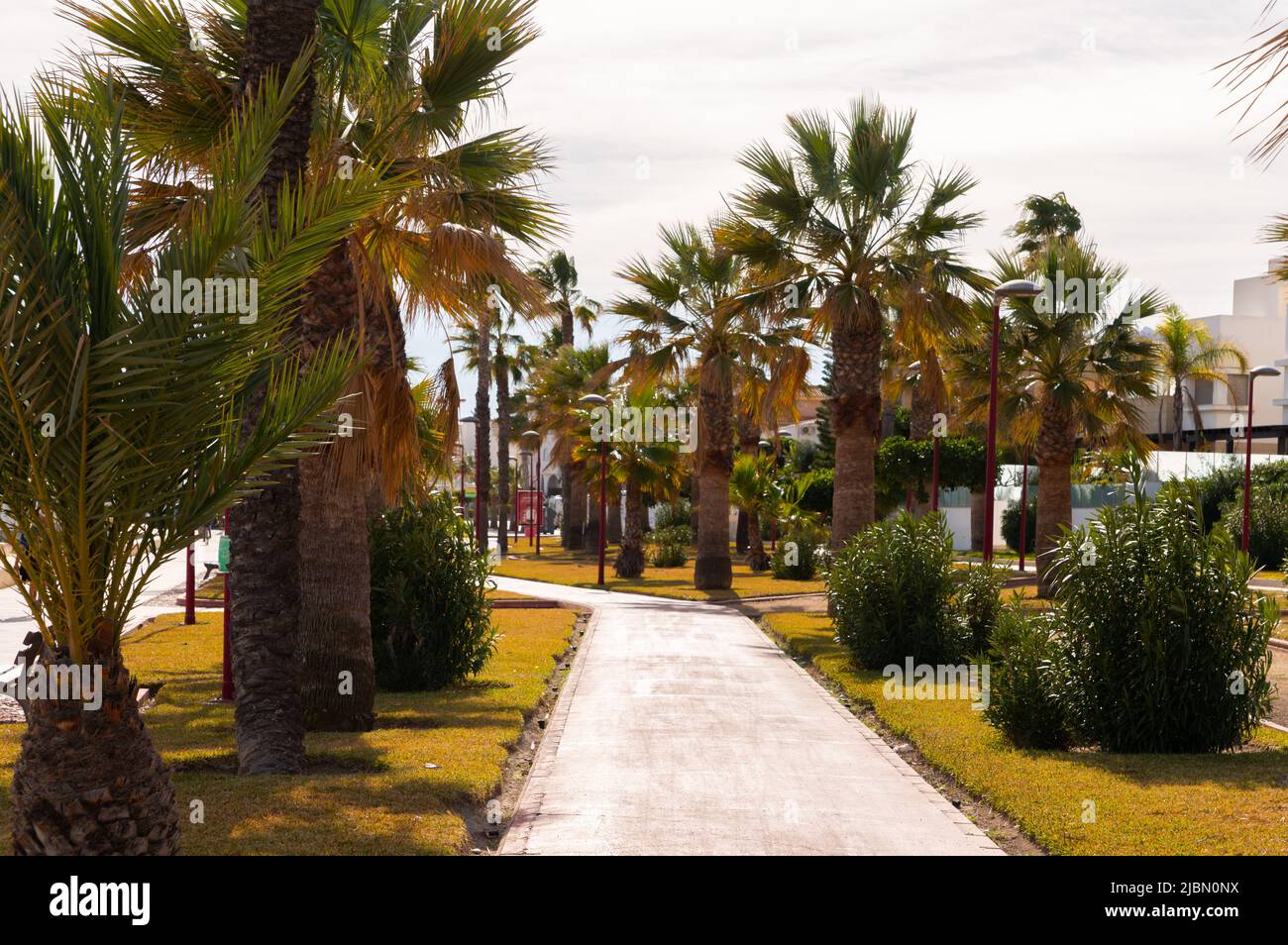 VERA, SPAIN 23 JANUARY 2019 Recreational path in a Spanish town