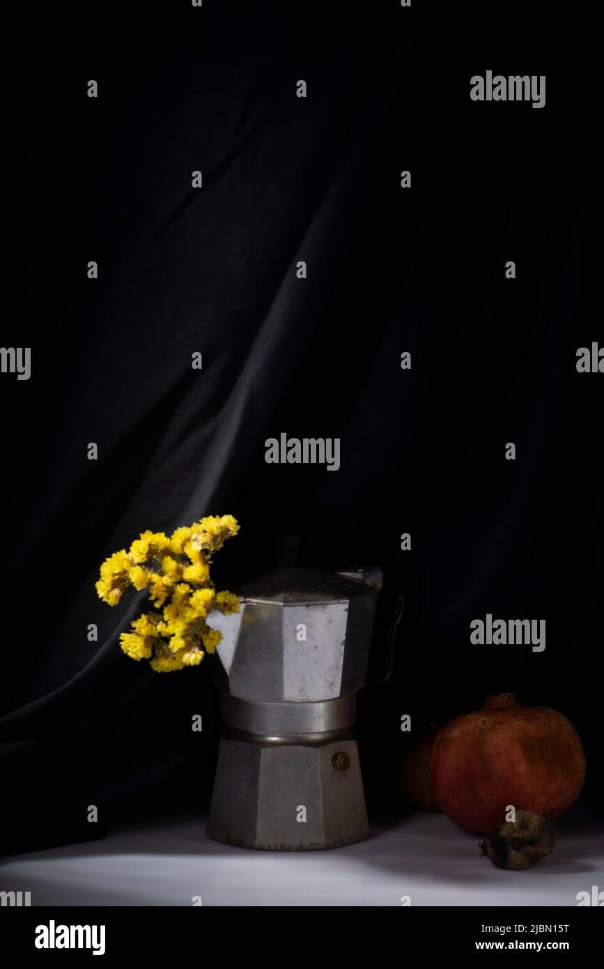 dramatic spring still life with yellow flowers on a white-black background Stock Photo