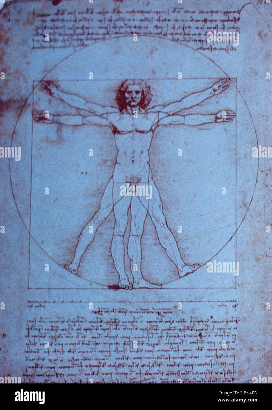 Vitruvian man, by Italian artist Leonardo da Vinci, 1490 ca. Stock Photo