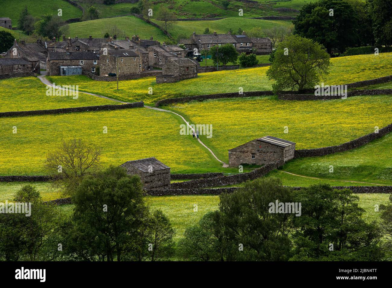 Muker, Yorkshire Dales, UK. 7th Jun 2022. A couple walk through the wildflower meadows at Muker in the Yorkshire Dales. Neil Squires/Alamy Live News Stock Photo