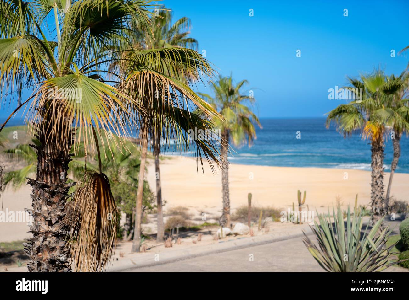 Vacationing in Cabo San Lucas, Mexico Stock Photo