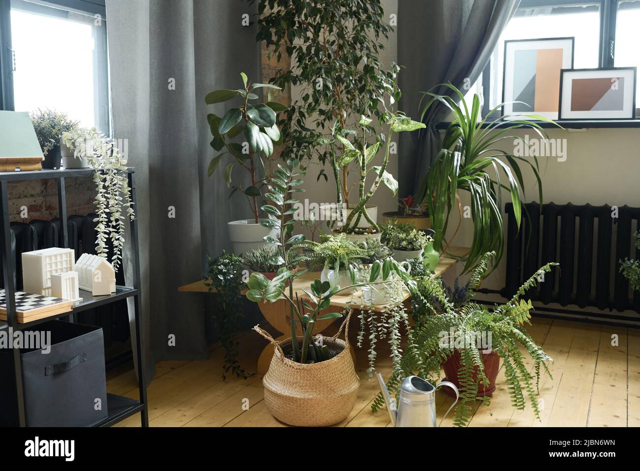 Horizontal image of little garden in living room with houseplants in pots Stock Photo