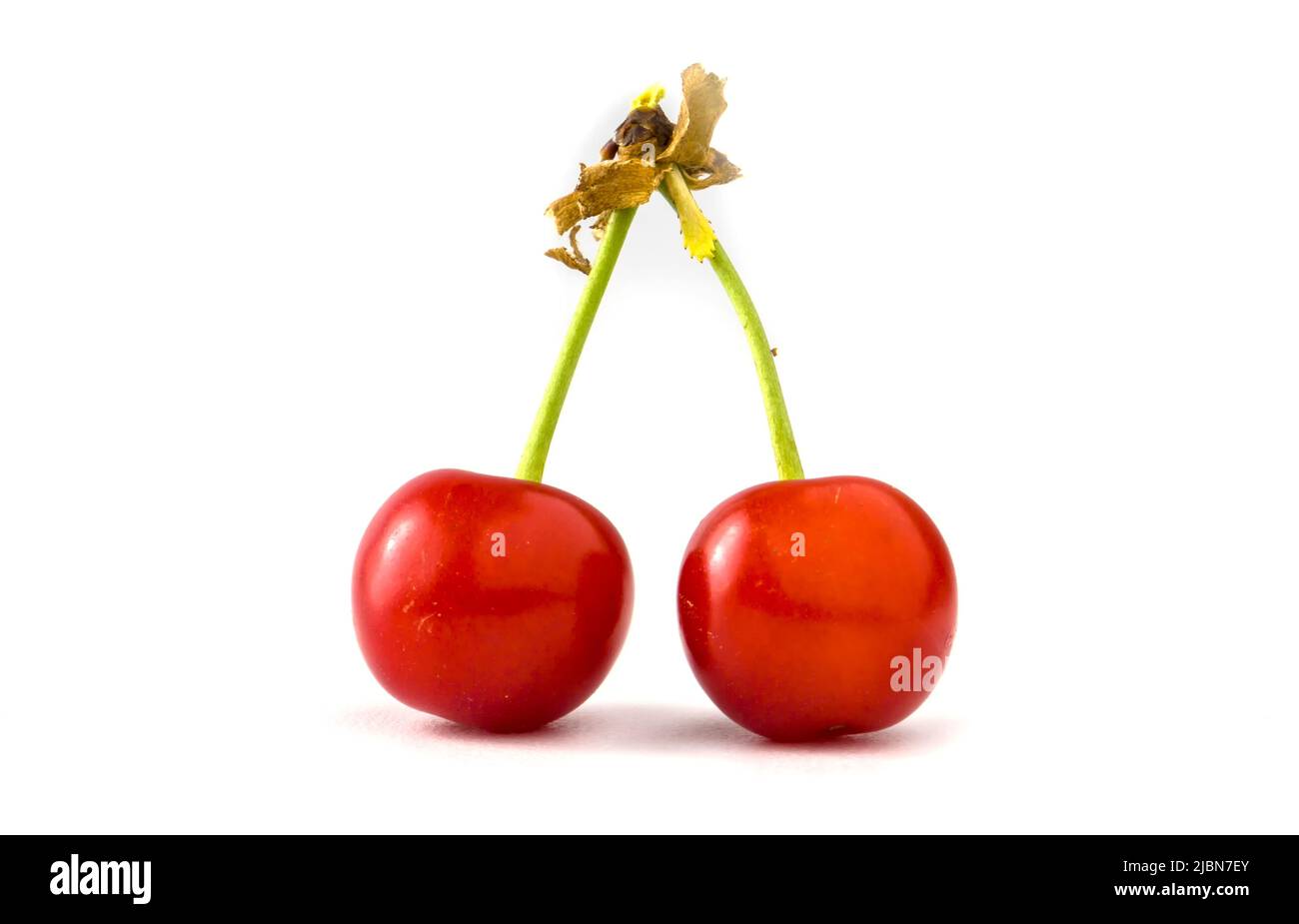 Two red cherries isolated on white Stock Photo