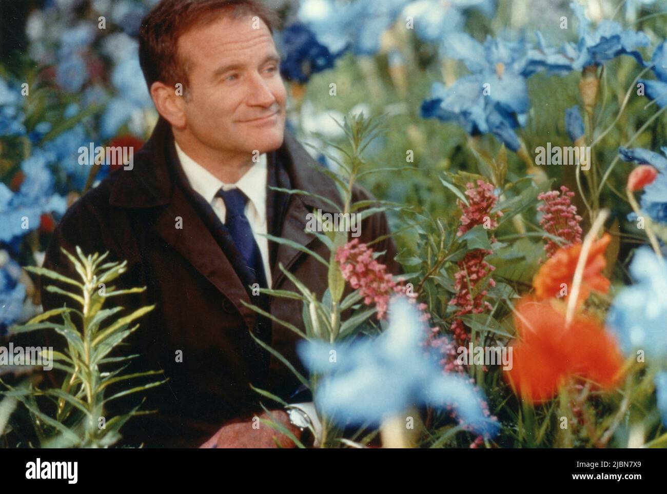 What Dreams May Come Cast