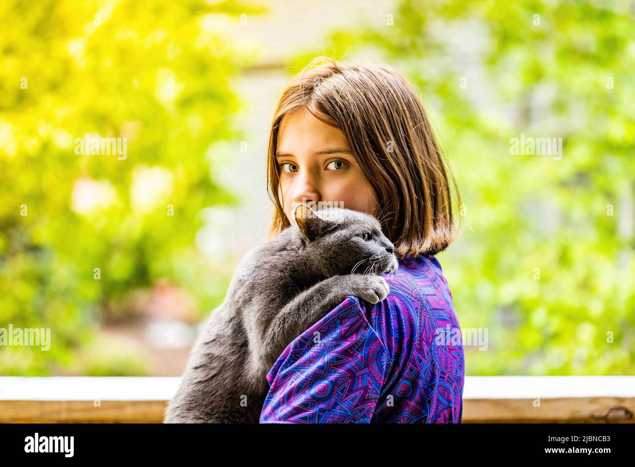 Young attractive girl holding a russian blue cat with sunny summer