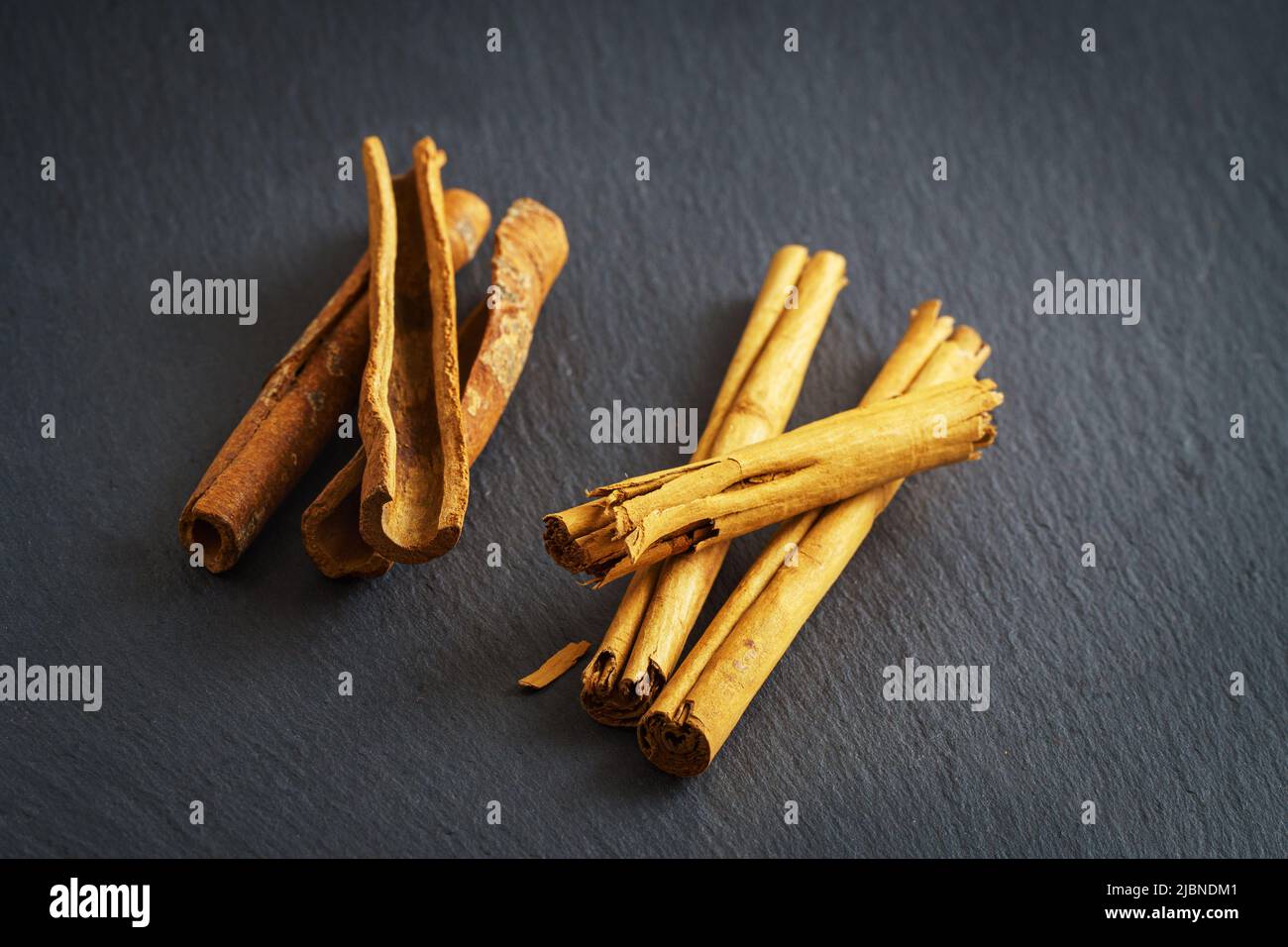 Cinnamon and cassia sticks on gray slate. Differences bark of two