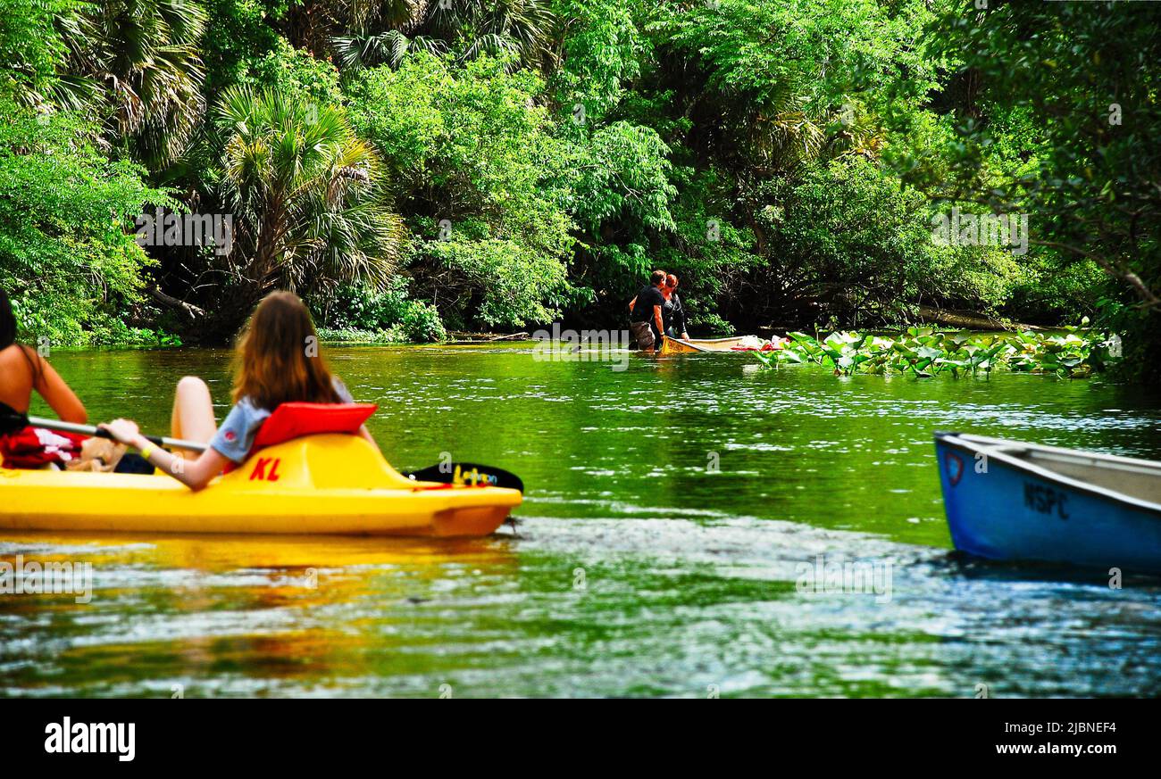 Rock springs run central Florida kayak tour to Wekiva island Stock Photo Alamy