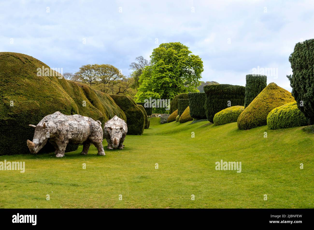 Rounded topiary surrounding the Queen’s Garden of Sudeley, Castle, Sudeley, Gloucestershire, Cotswolds, England, Great Britain, UK. Stock Photo