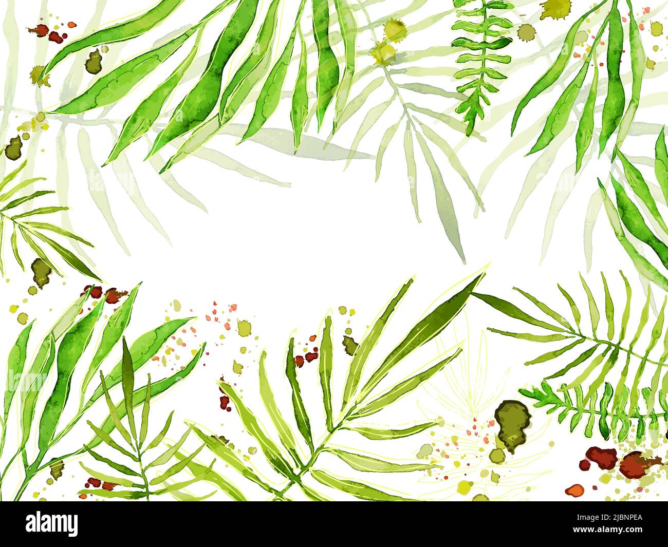 Watercolor palm leaves background for text. Vector illustration Stock ...