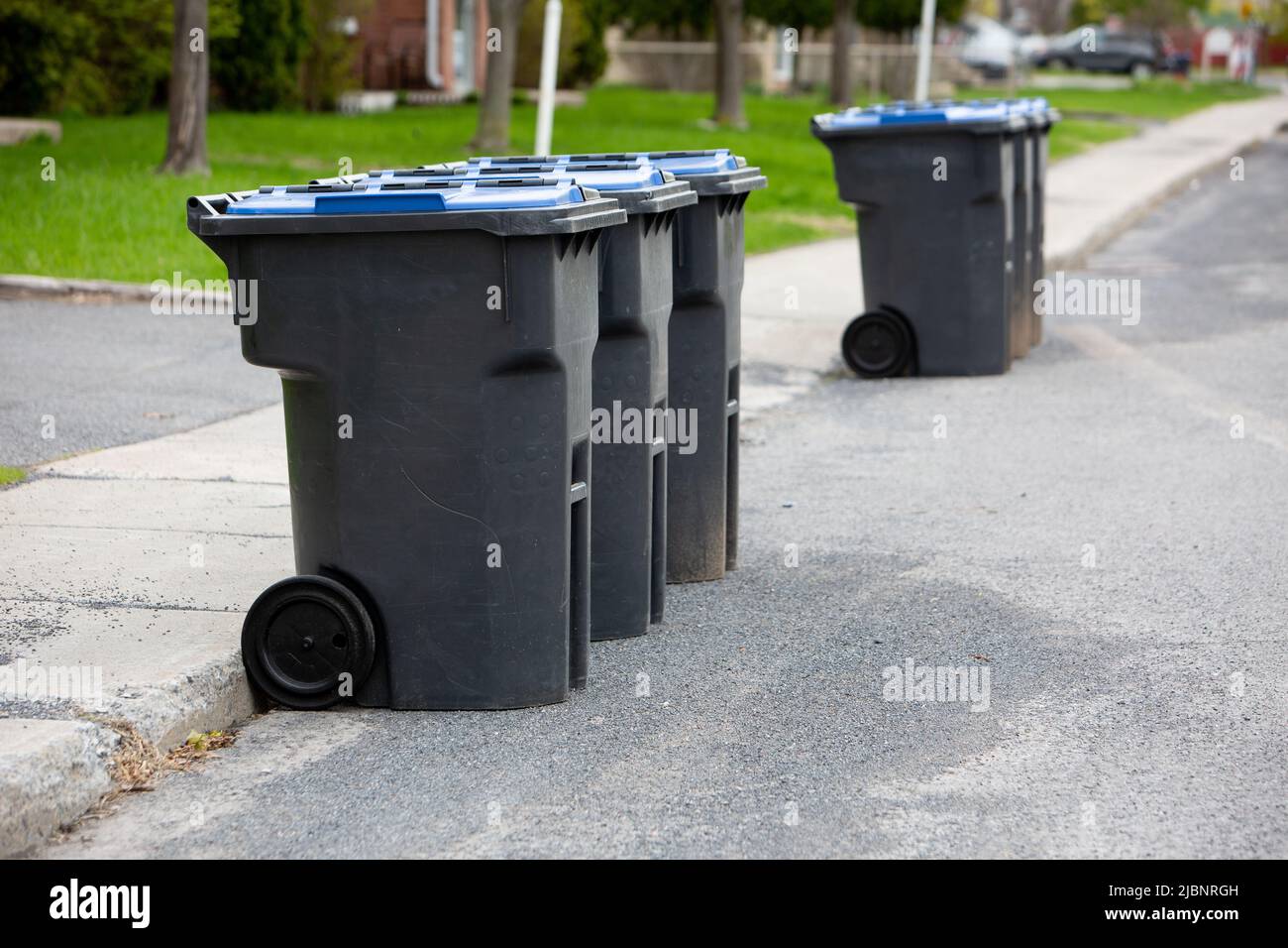 A row black and blue wheelie bins on the pavement in a street for