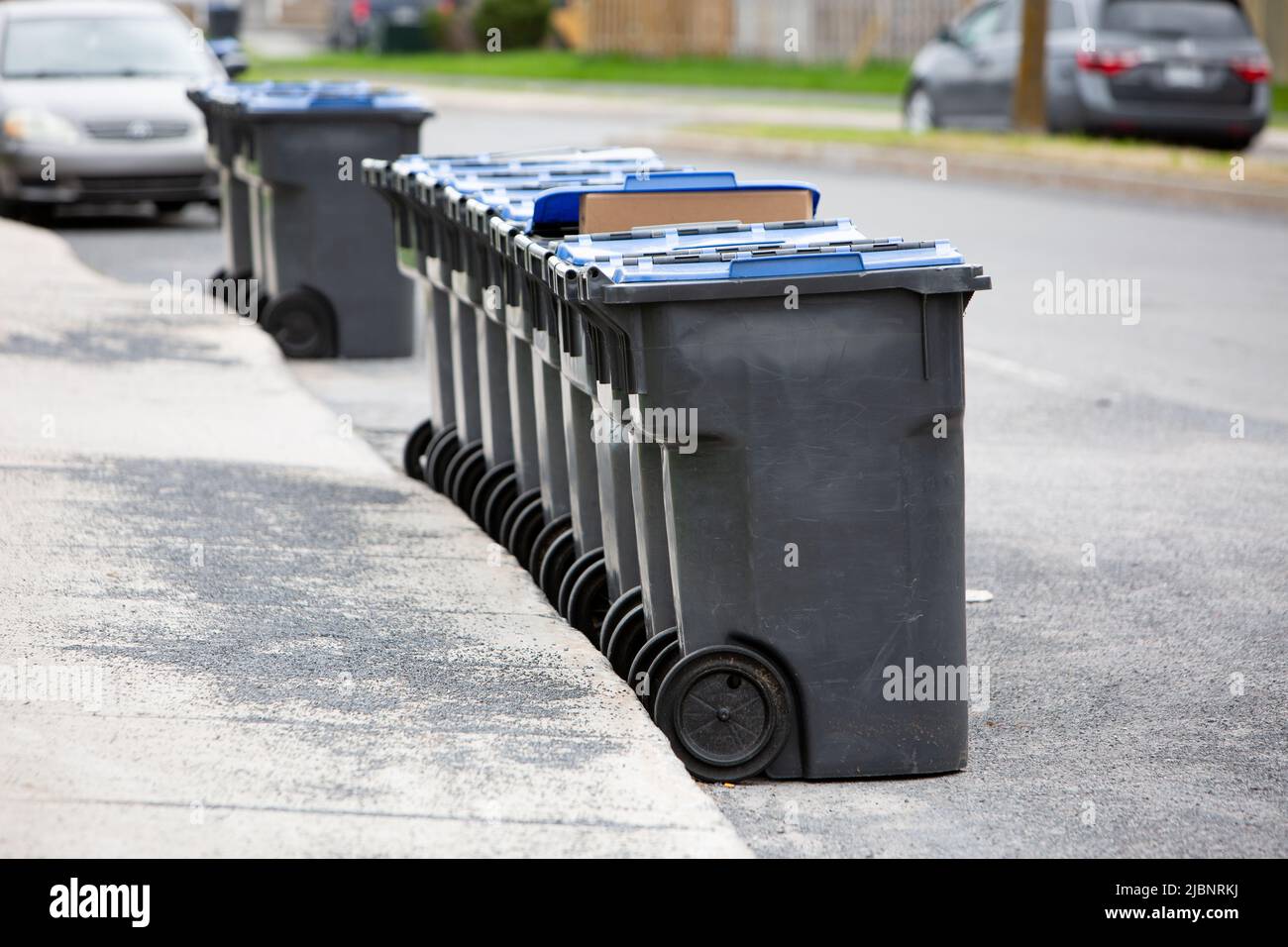 A row black and blue wheelie bins on the pavement in a street for