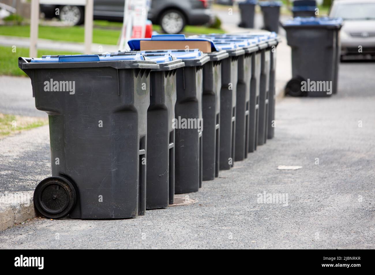 A row black and blue wheelie bins on the pavement in a street for recycling purpose, Quebec