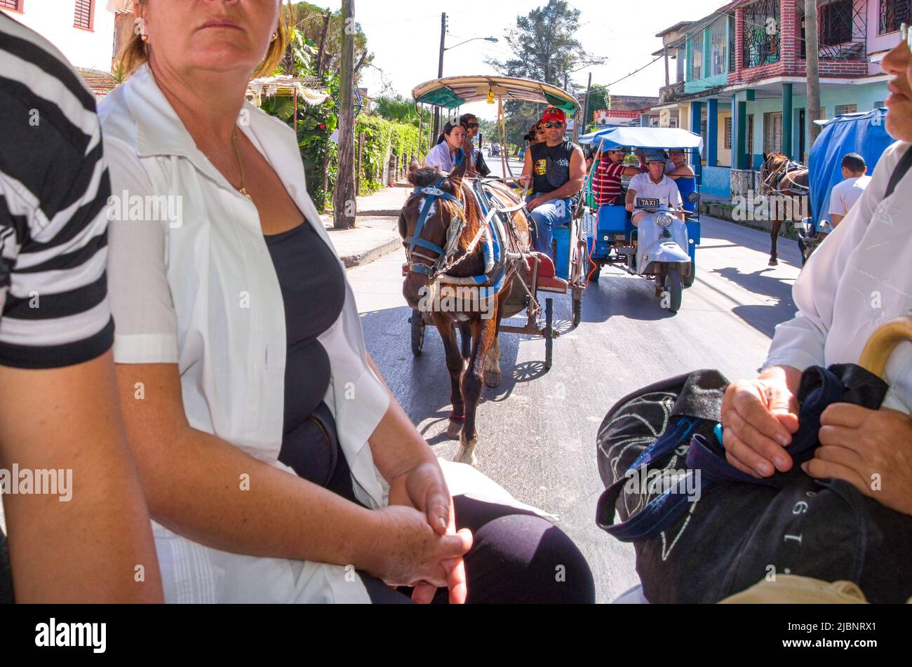 Healthcare personnel commuting in a horse cart in the city center. Stock Photo
