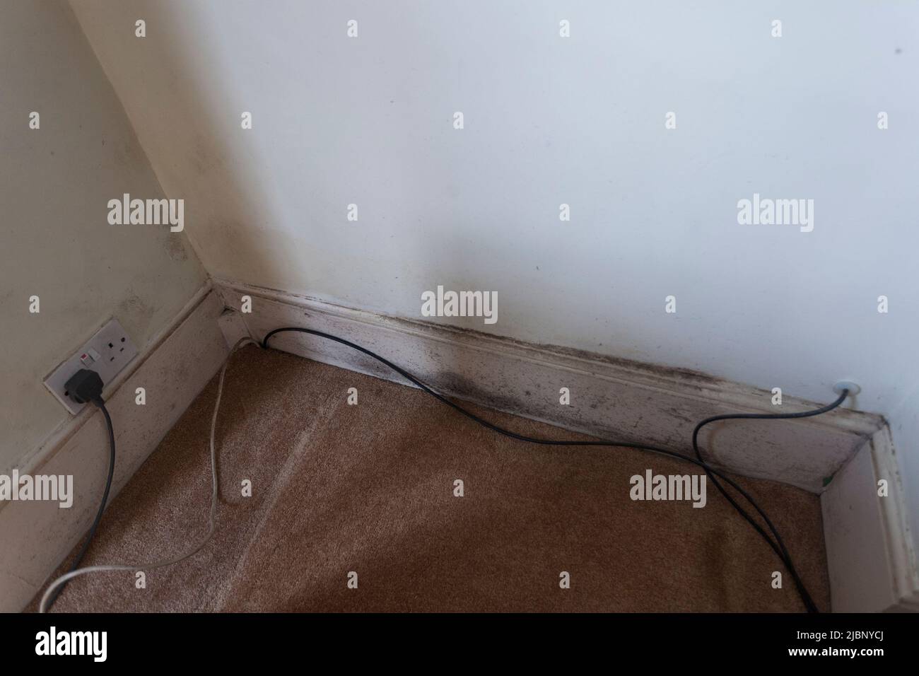 Black mould in skirting board in Victorian terraced rental property Stock Photo