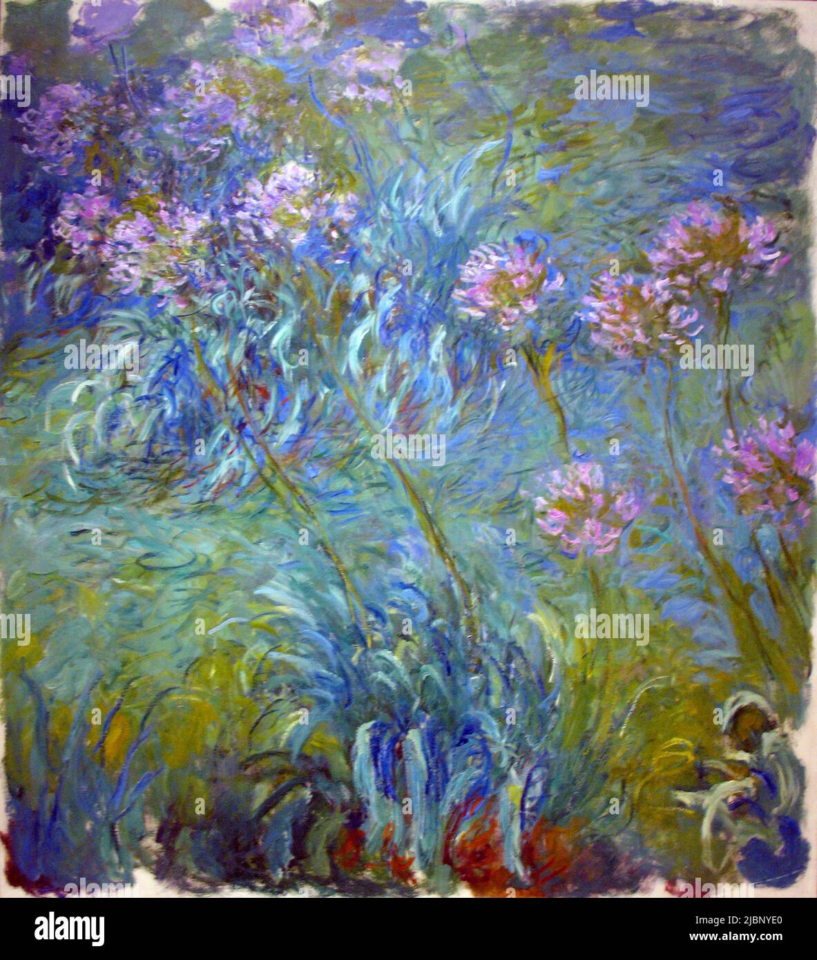 Agapanthus, 1914 - 1926, Painting by Claude Monet Stock Photo