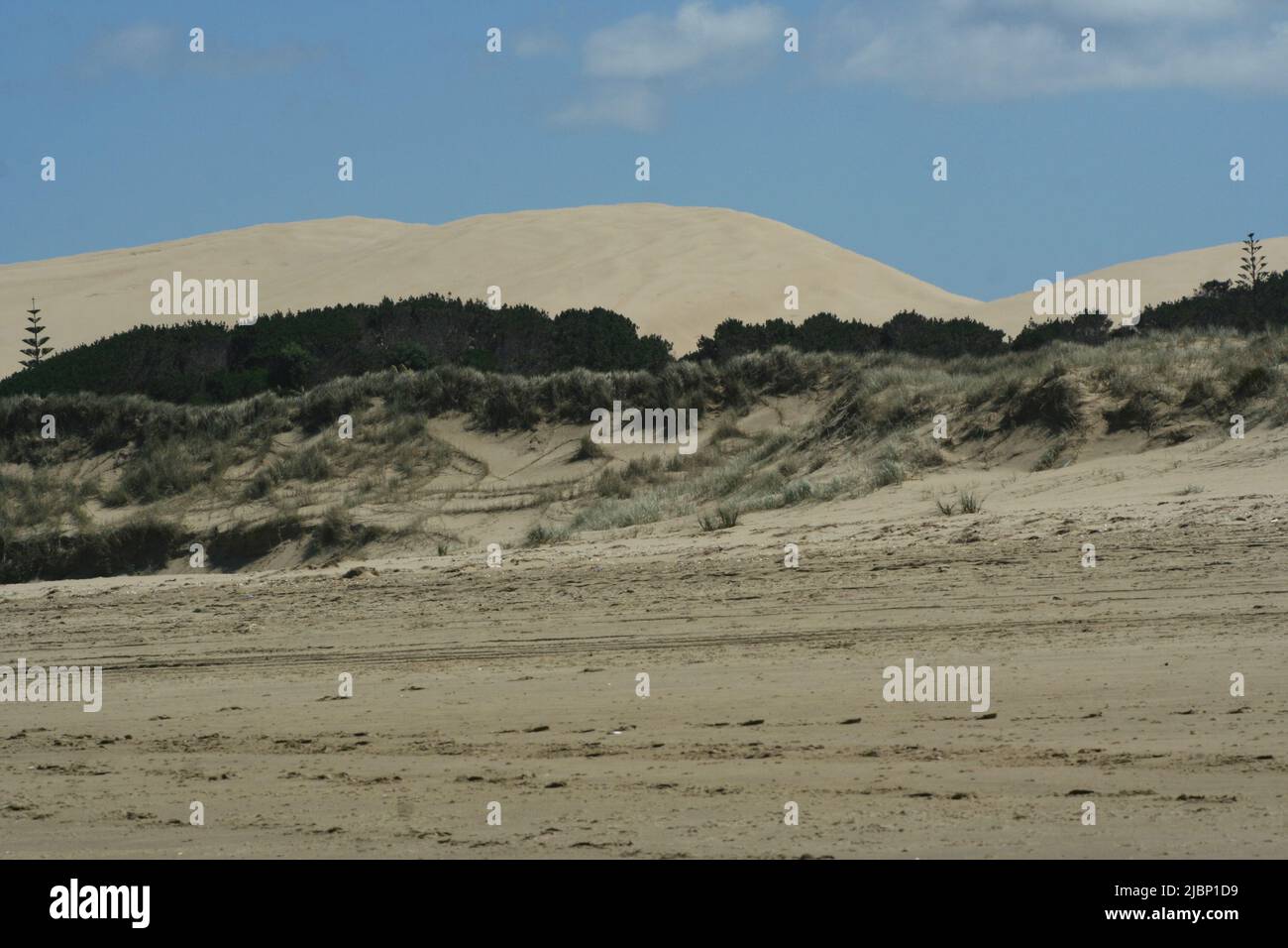 Vehicle tracks on the sand and sand dunes by Ninety-Mile Beach, Northland, New Zealand Stock Photo