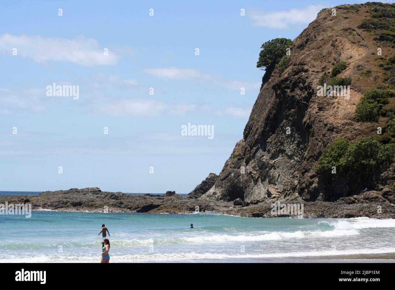 Beach in Northland, New Zealand Stock Photo