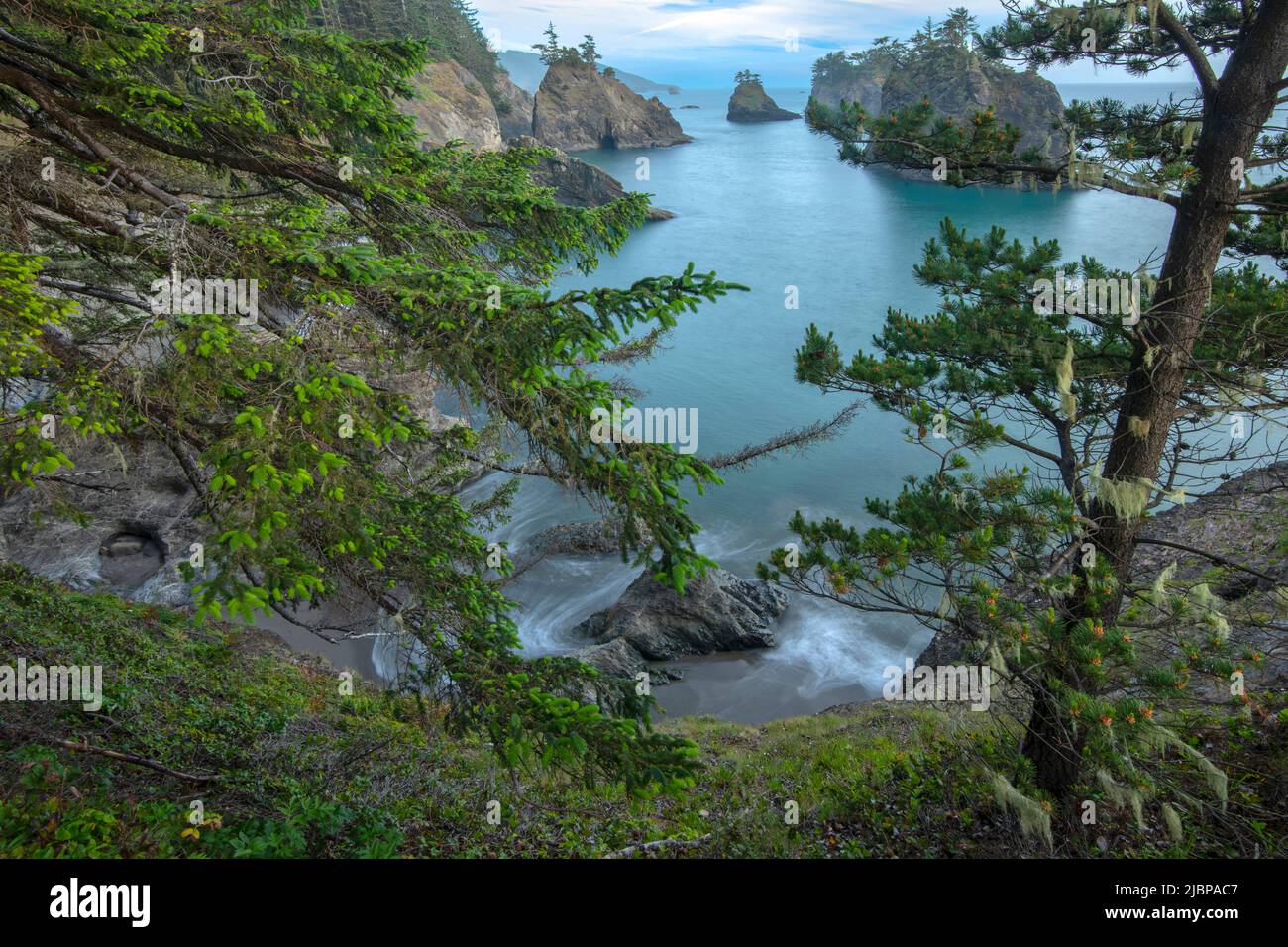 Samuel H Boardman State Park The Oregon Coasts Best Kept Secret Shhh - 1628x3u